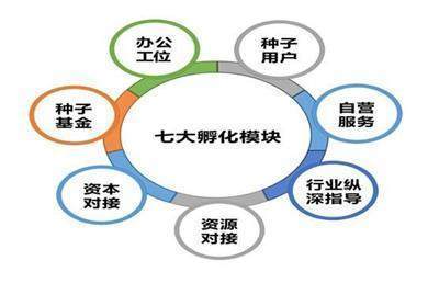 创业孵化器经营管理 打造“五位一体、6+自营服务、7plus孵化模块”标配体系